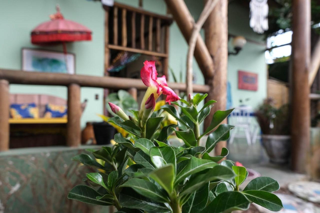Velinn Pousada Gaia Gardens Paraty Exterior photo